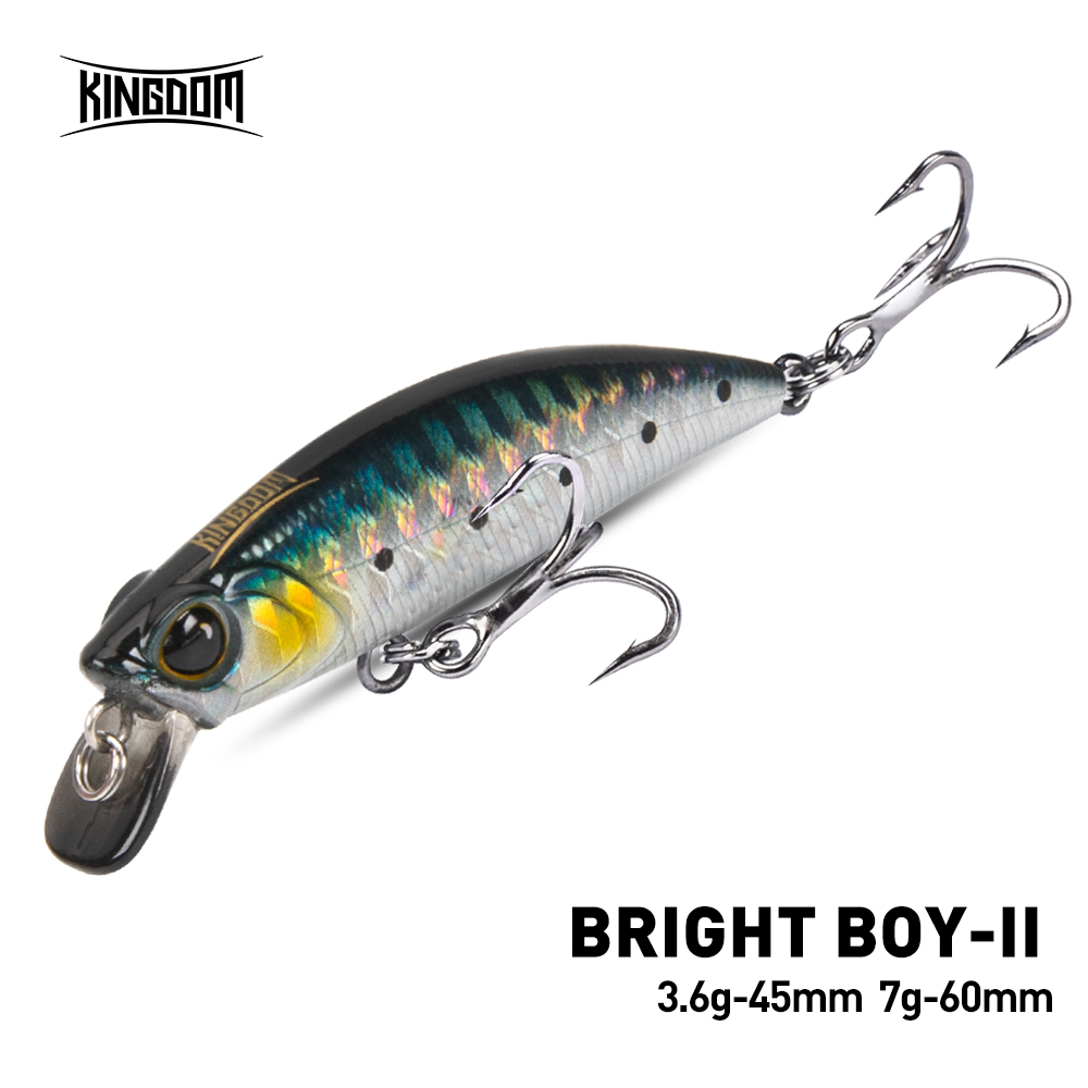 المملكة غرق أسماك الصيد إغراء  - مراجعة Fishing Lure Crankbait وسعره
